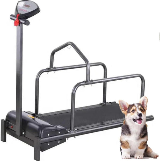 Tapis roulant pour chien – avec écran, 176 LB, 6 Km/h
